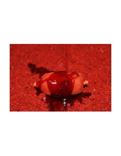 DIPS BOOSTER PROELITE ROBIN RED - 1 LITRO 2