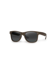 Gafas Fox Avius Khaki - Green Lens