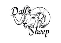 Dall´s Sheep